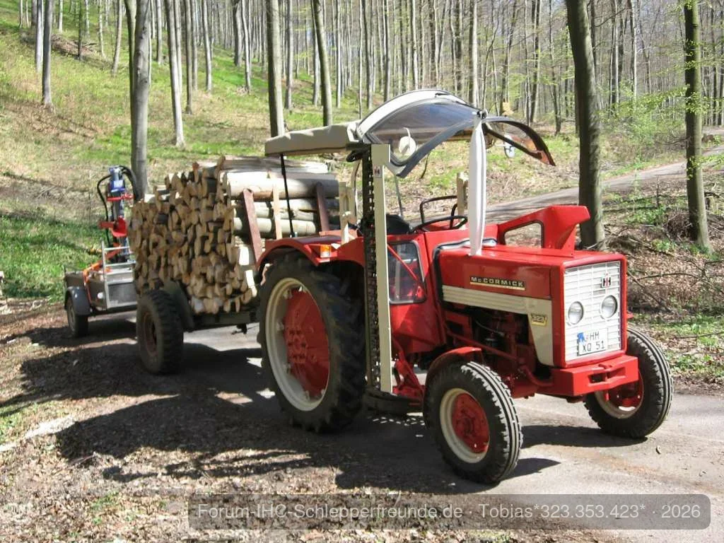 Holz holen bei bestem Wetter.