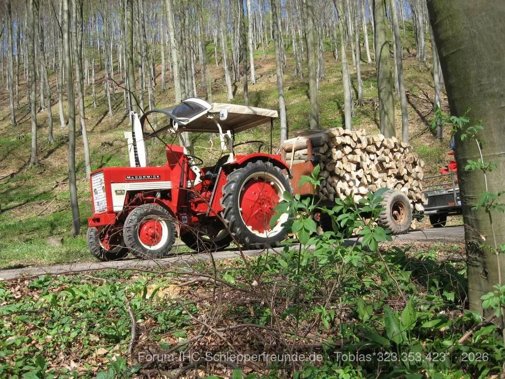 Holz holen bei bestem Wetter.