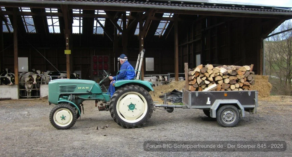 Holz holen