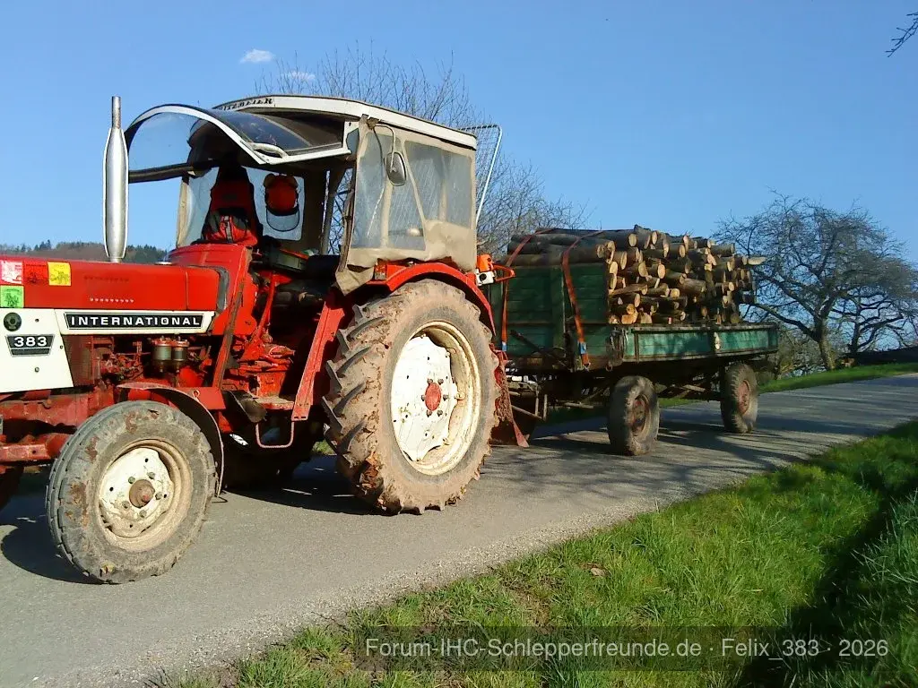 Holz holen