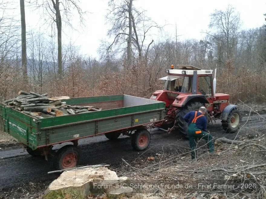 Holz machen 2013