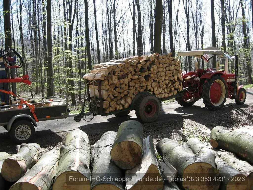 Holz machen bei bestem Wetter.