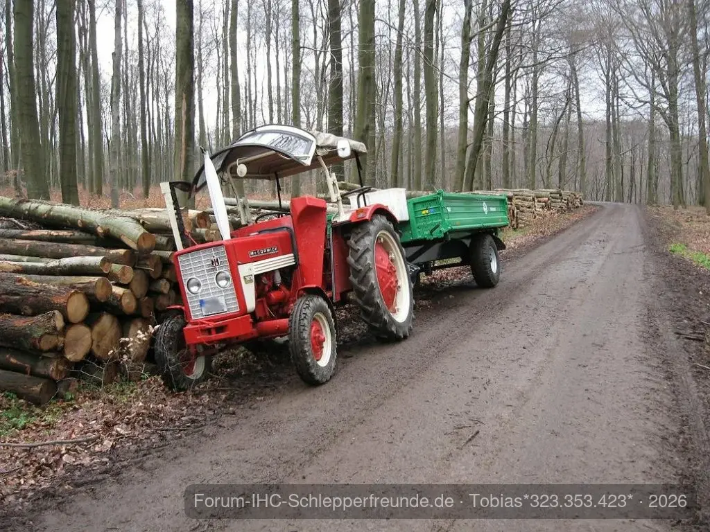 Holz machen
