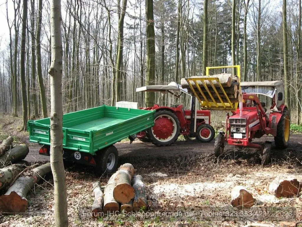 Holz machen