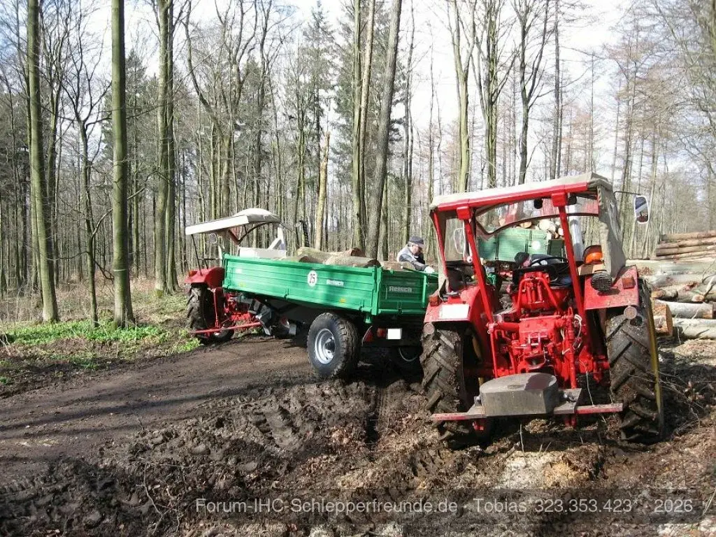 Holz machen