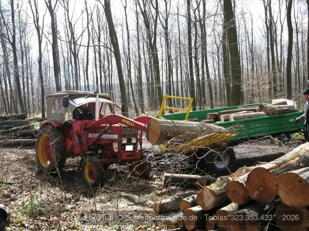 Holz machen
