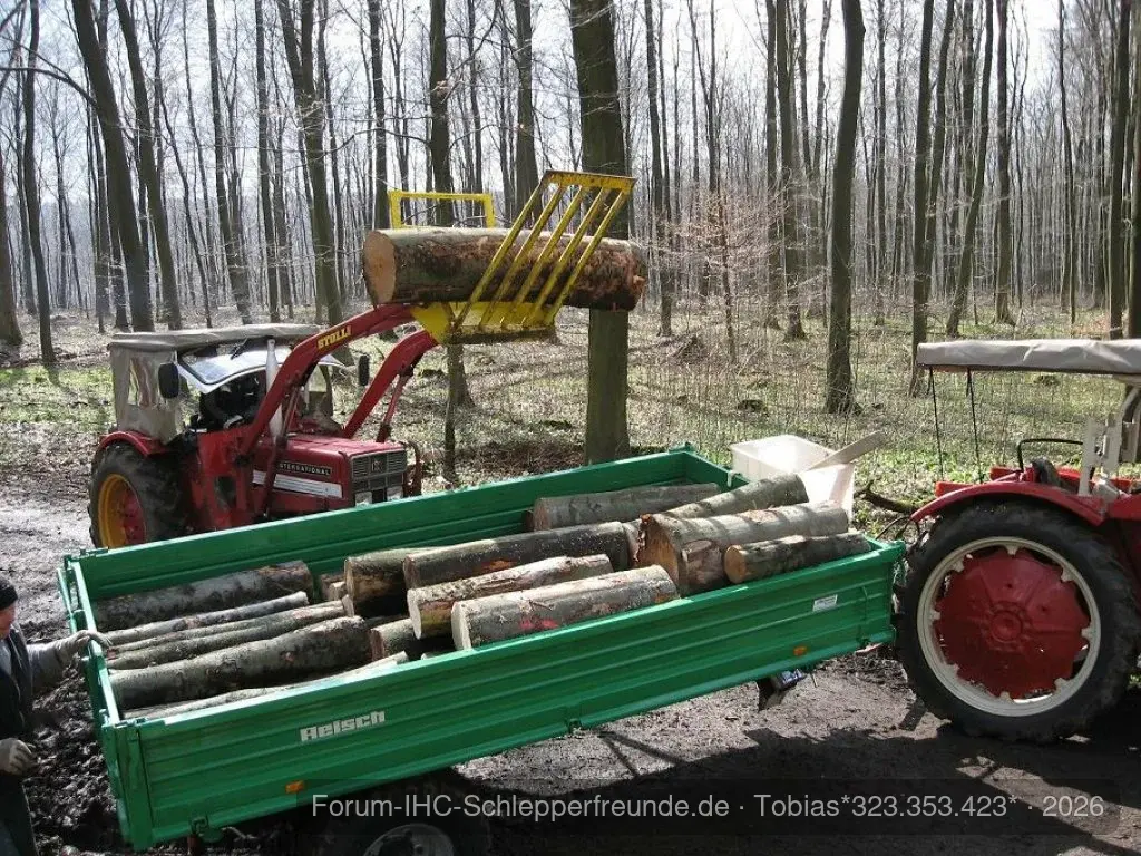 Holz machen