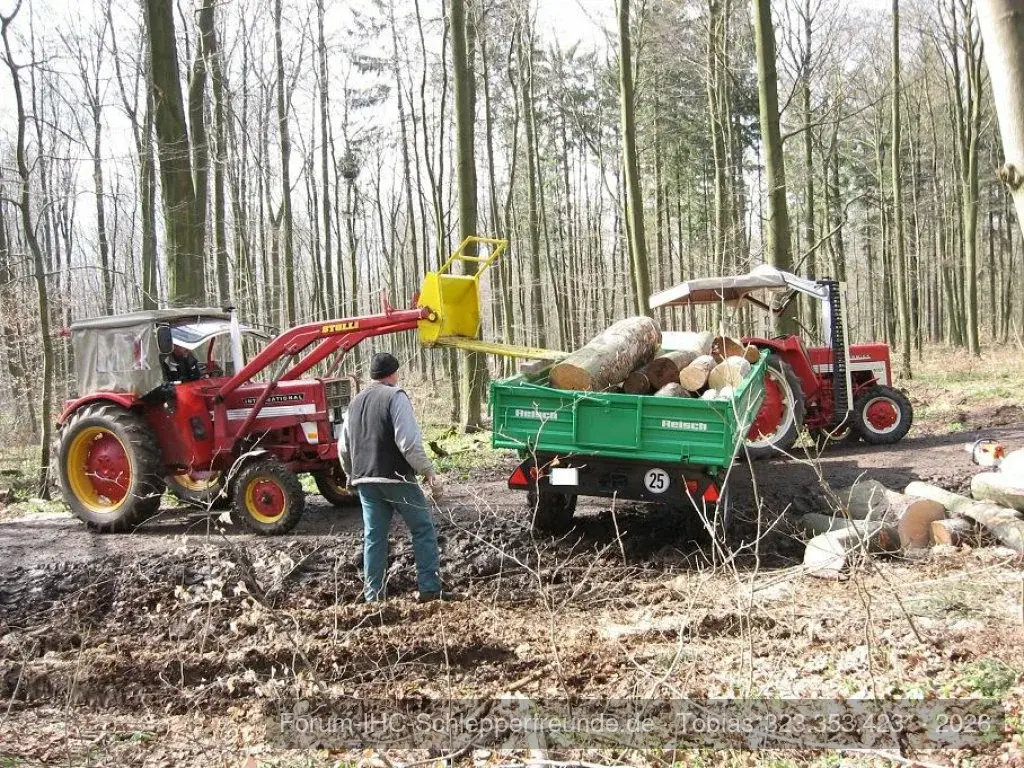 Holz machen
