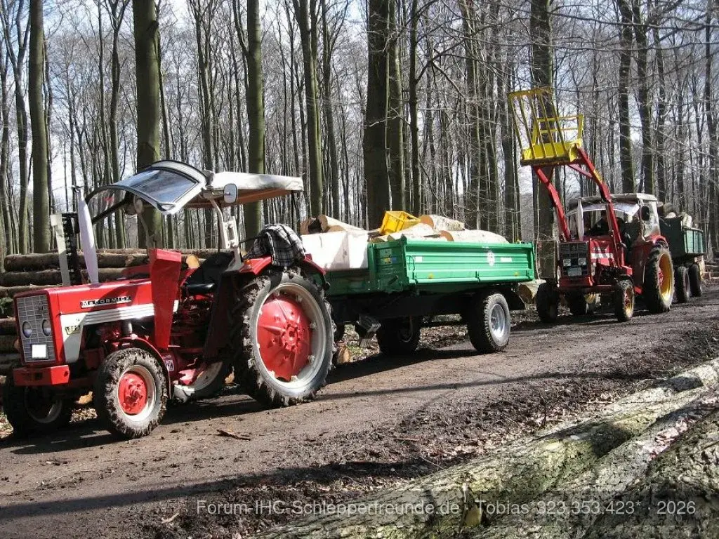 Holz machen
