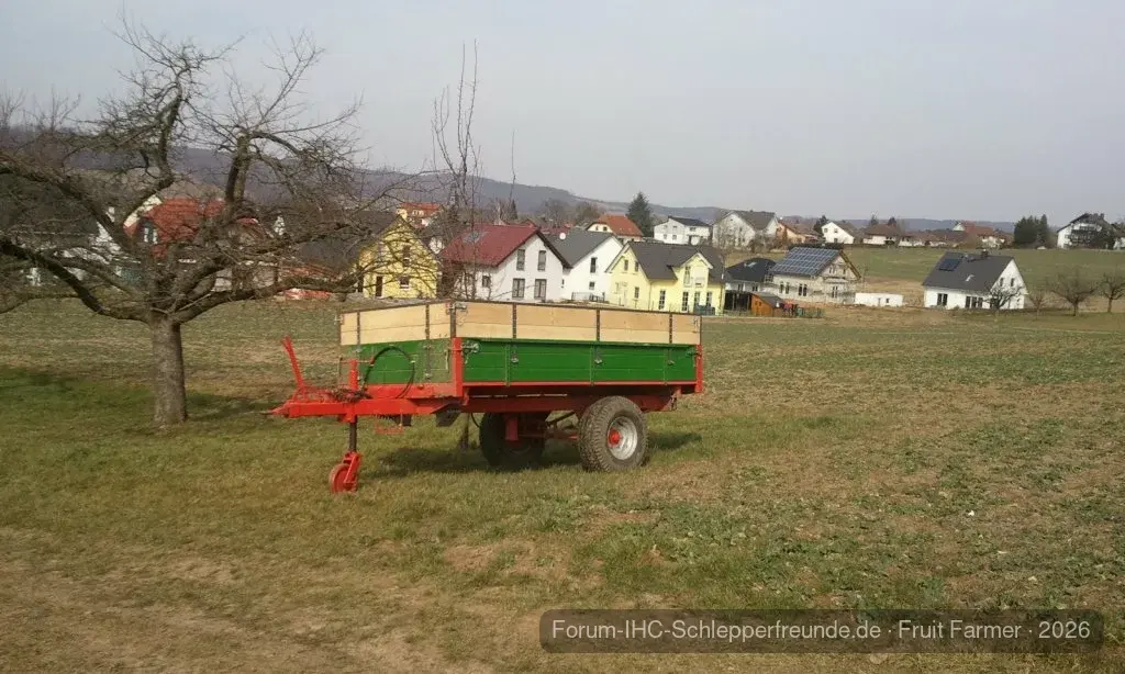 Holz schneiden