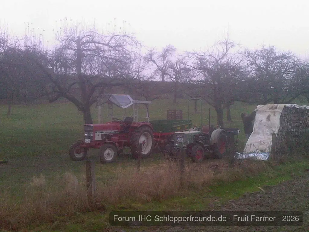 Holz schneiden