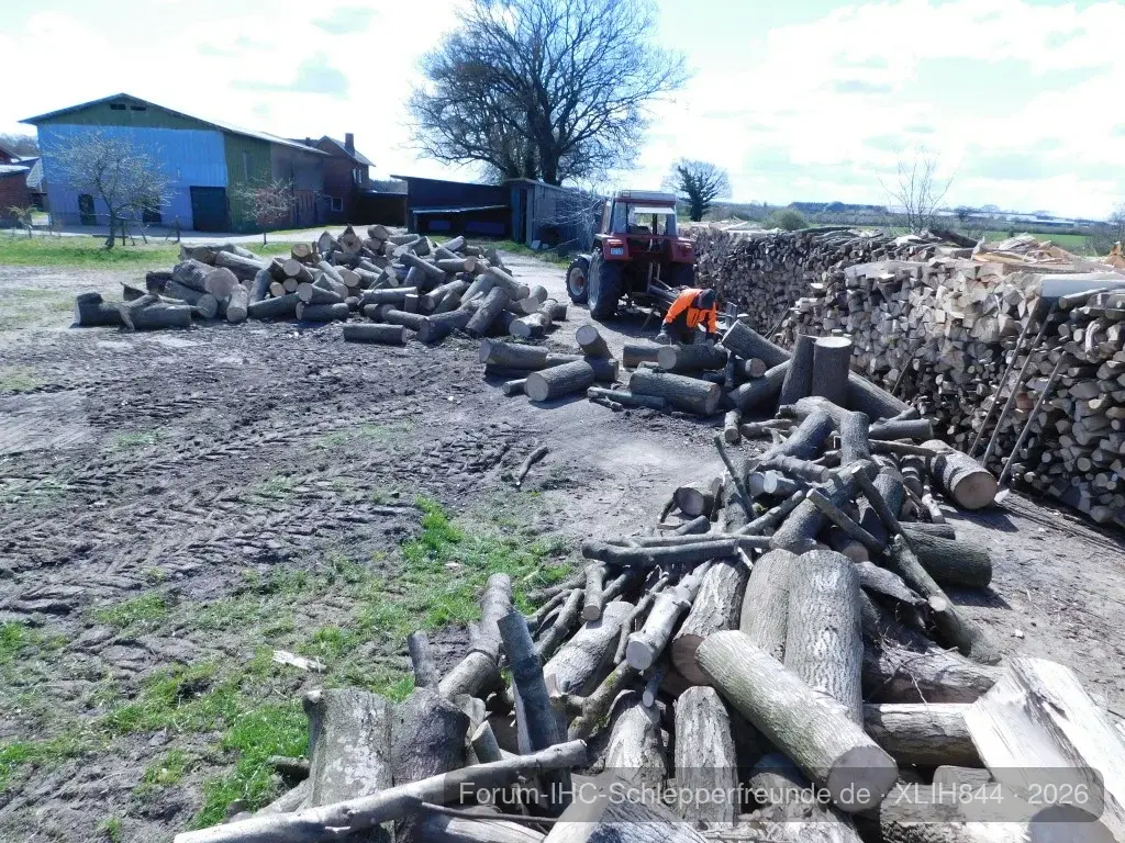 Holz spalten