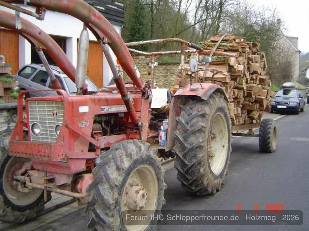 Holz