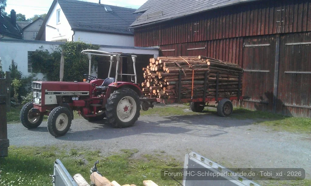 holz