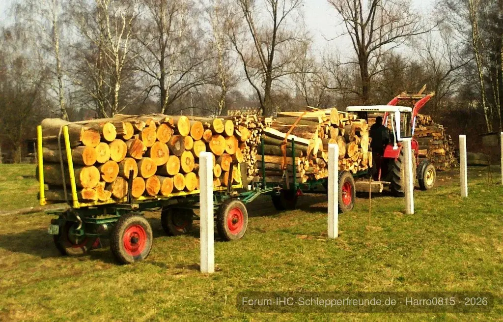 Holz