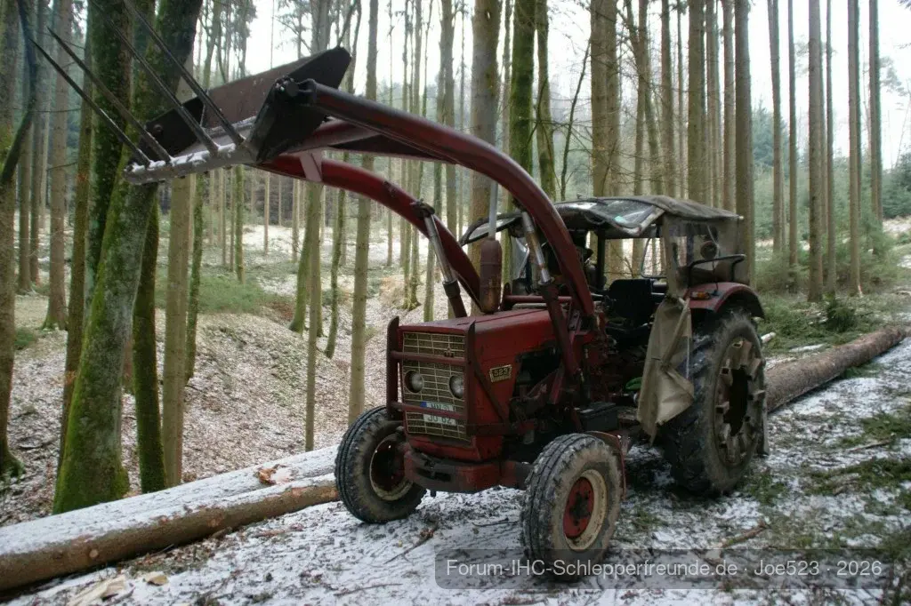 Holzeinsatz 2013