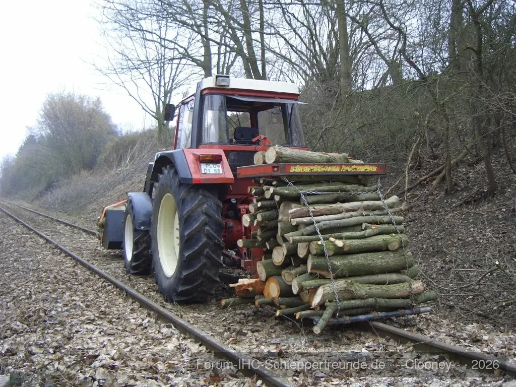 Holzeinschlag