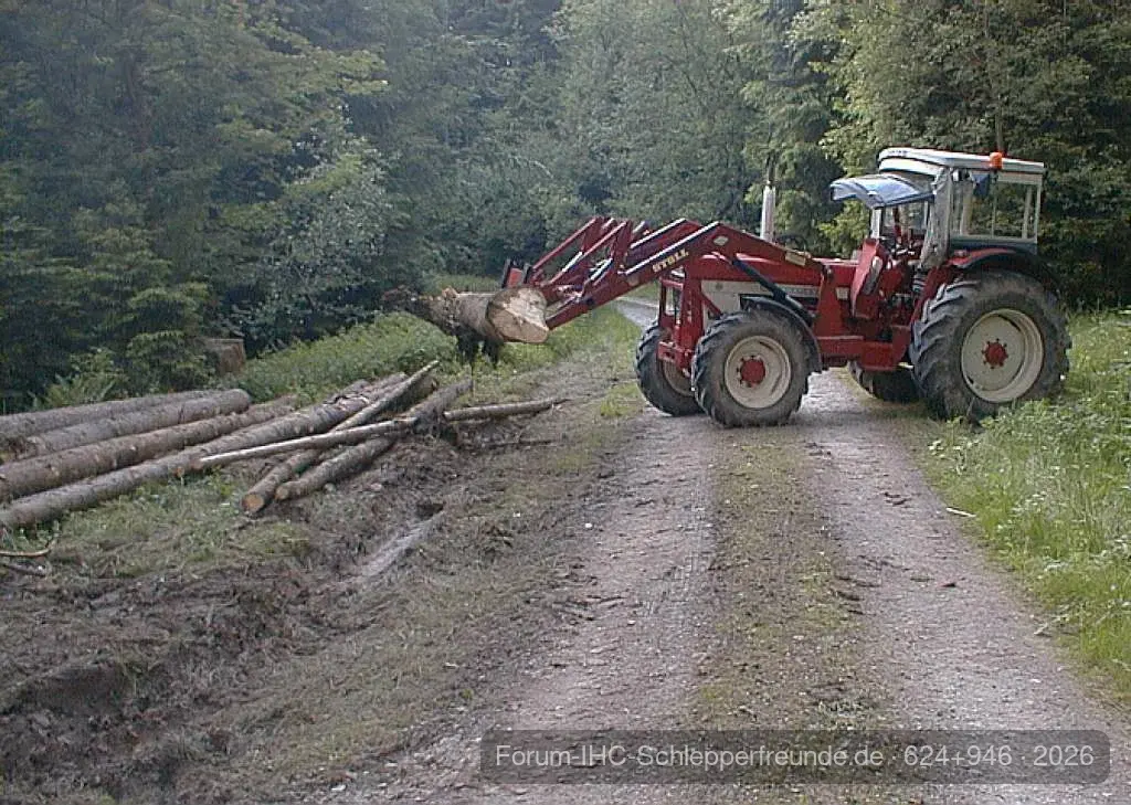 Holzfäller