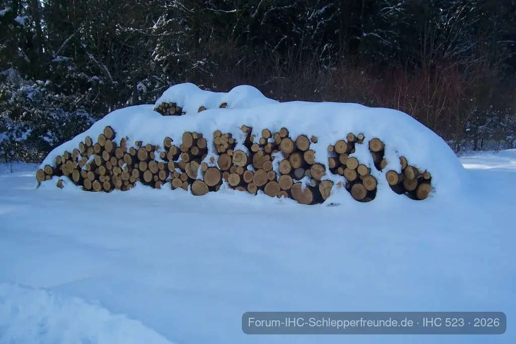 Holzlager