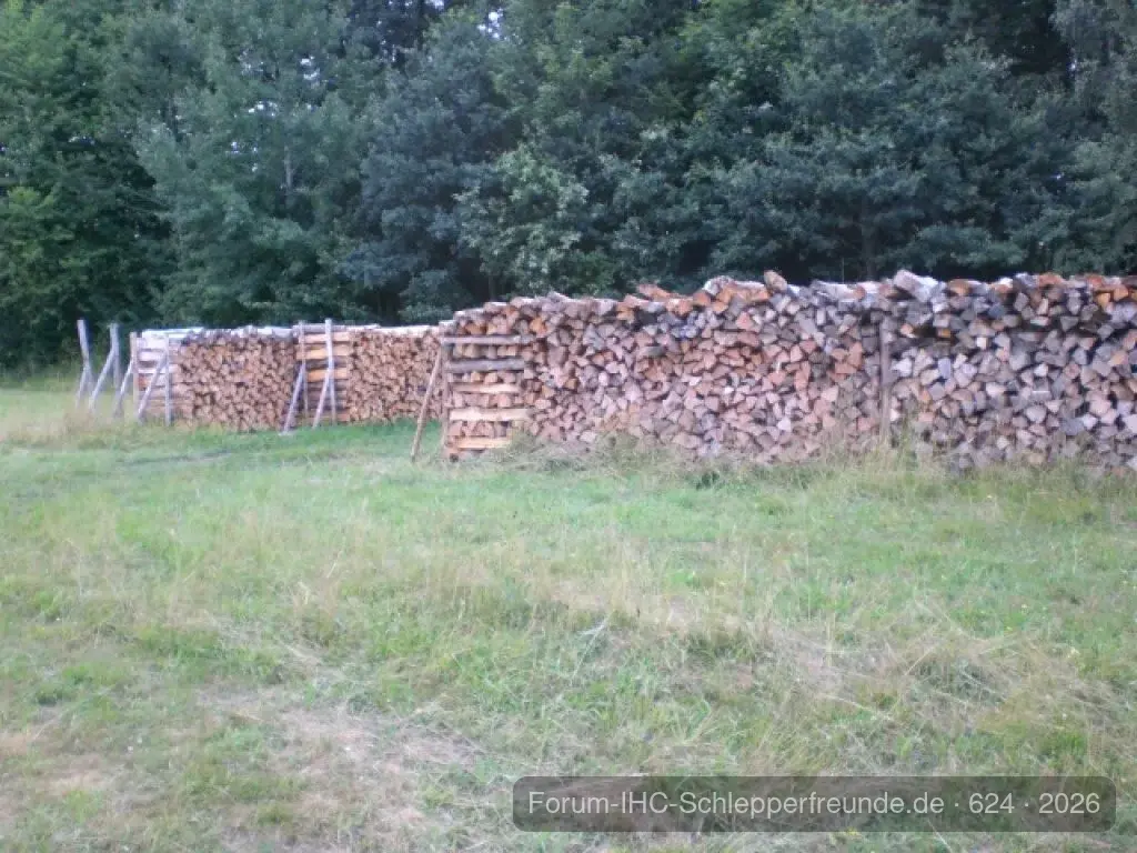 Holzlagerplatz