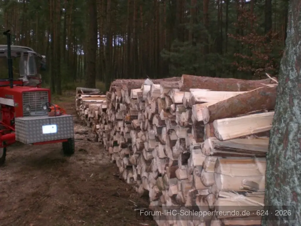 Holzlagerplatz