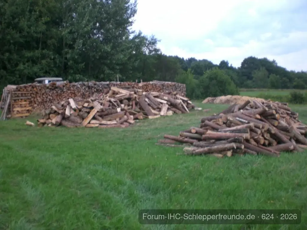Holzlagerplatz