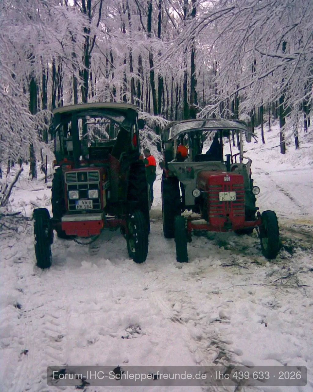 Holzmachen 02.02.2008
