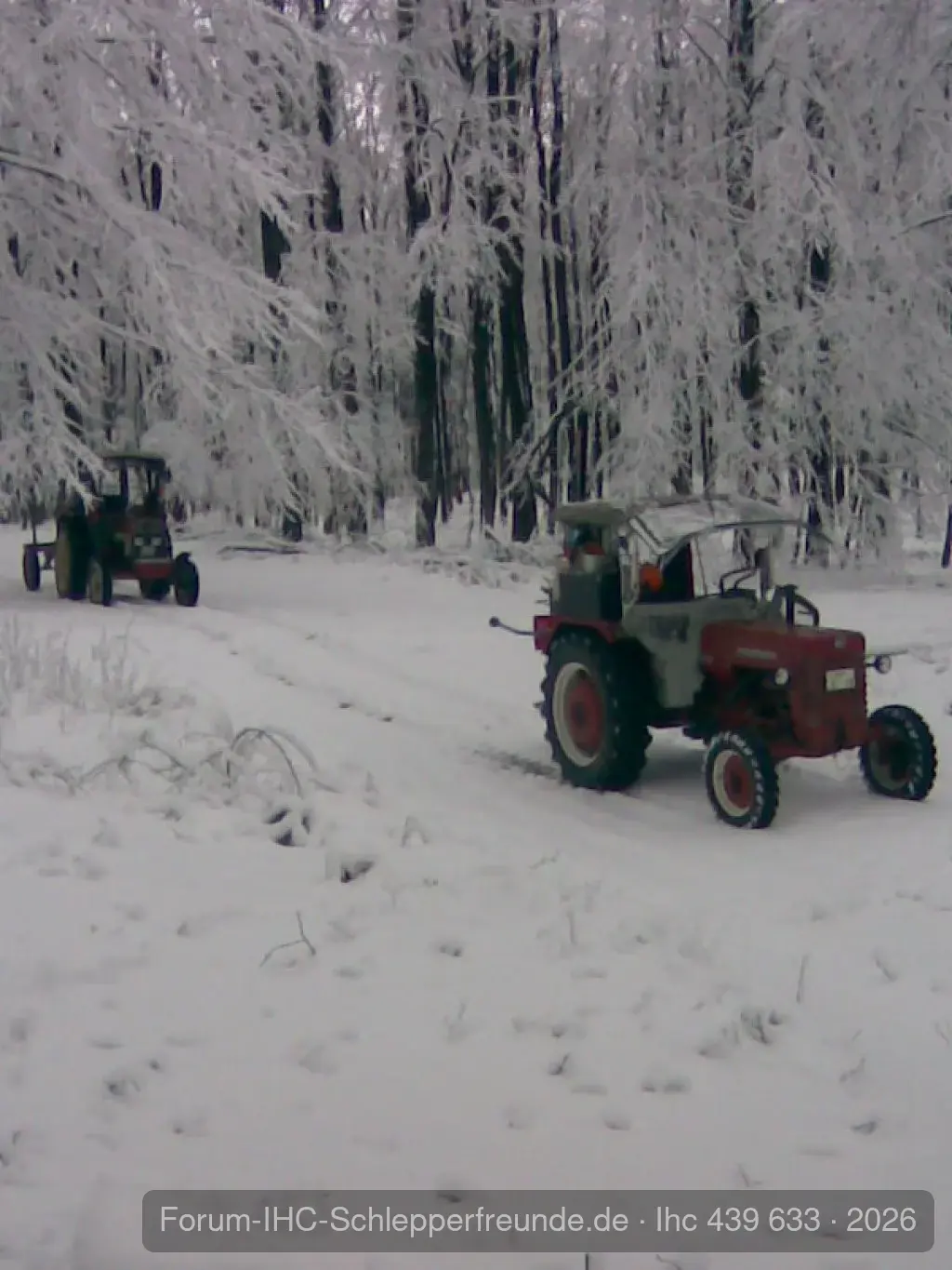 Holzmachen 02.02.2008