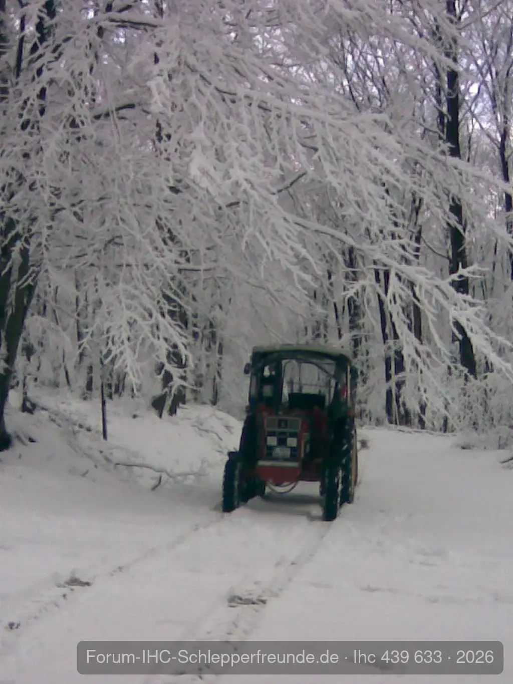 Holzmachen 02.02.2008