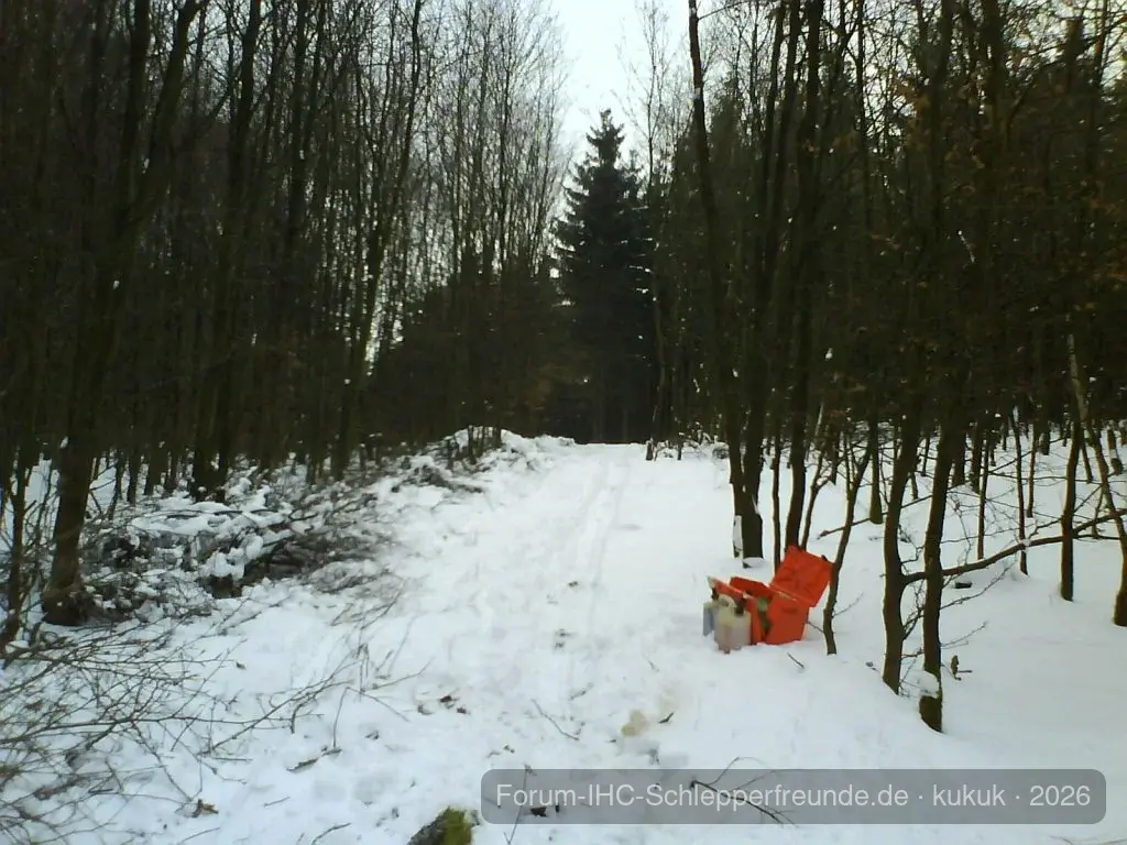 Holztransport
