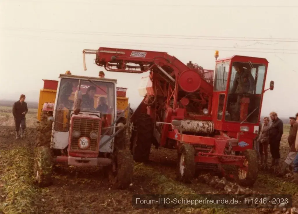 ih 1246