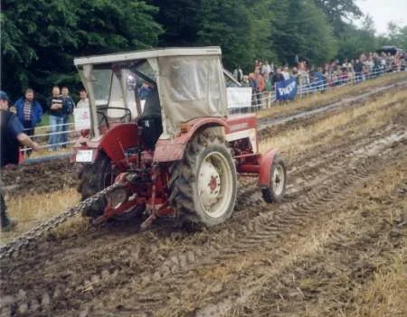 IHC 323