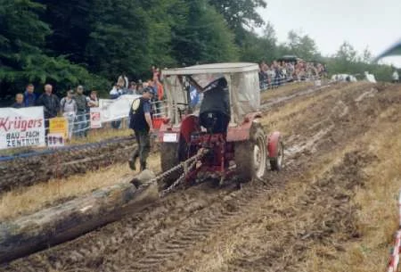IHC 323