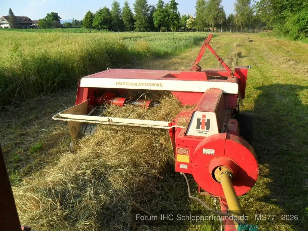 IHC 440