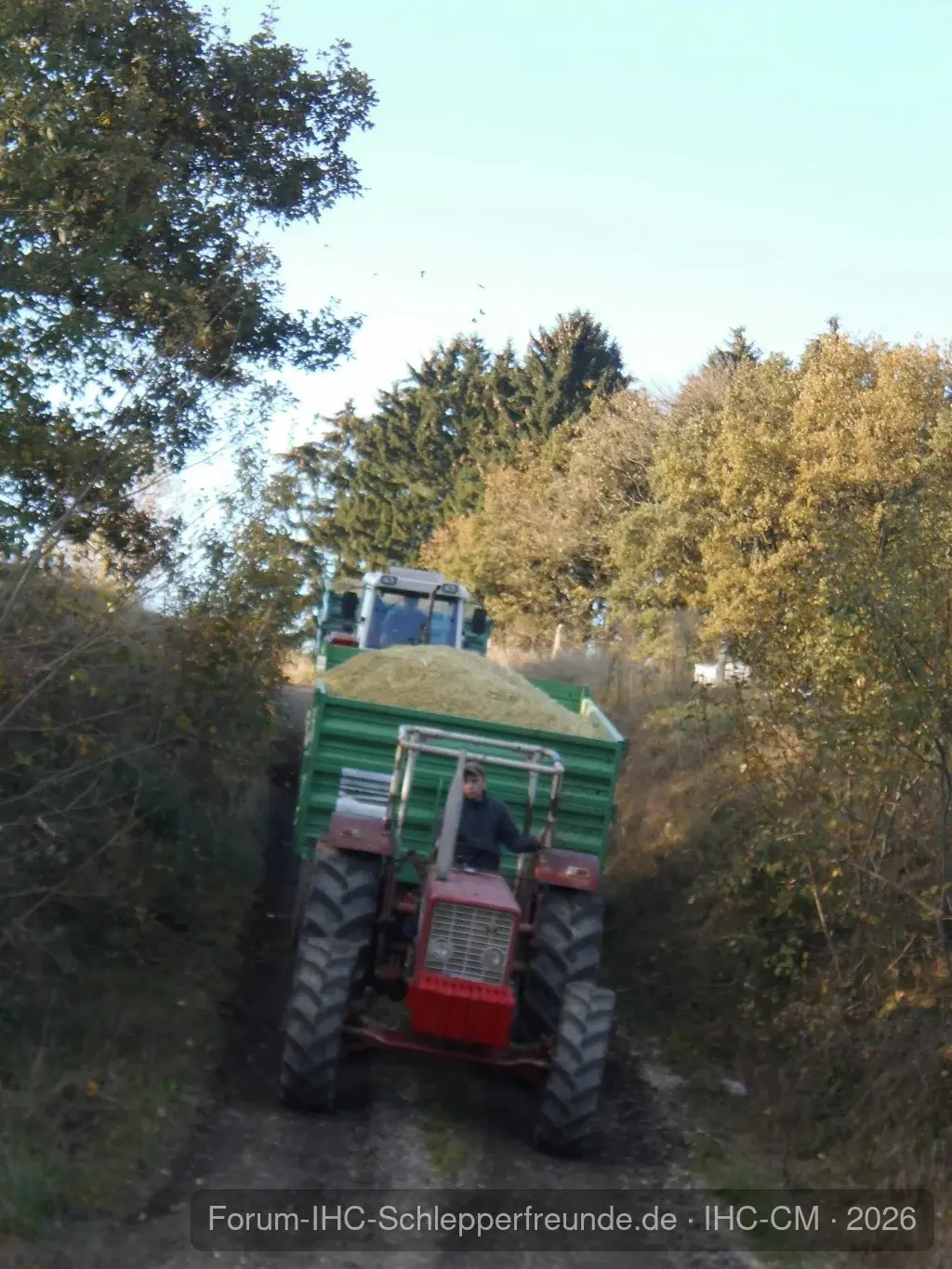 IHC 624AS & 8T Carl Wolf