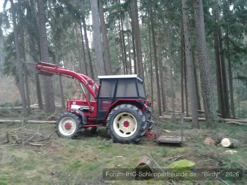 IHC 654 im wald