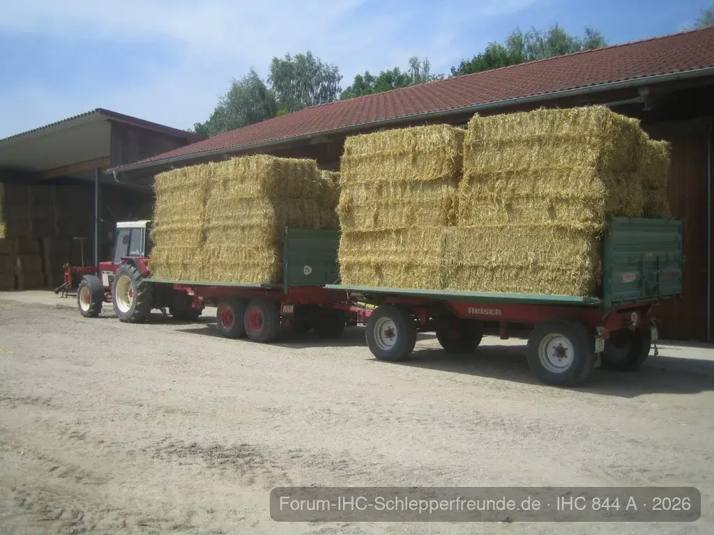 IHC 844 AS