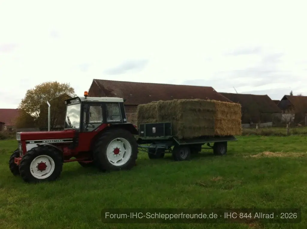 IHC 844