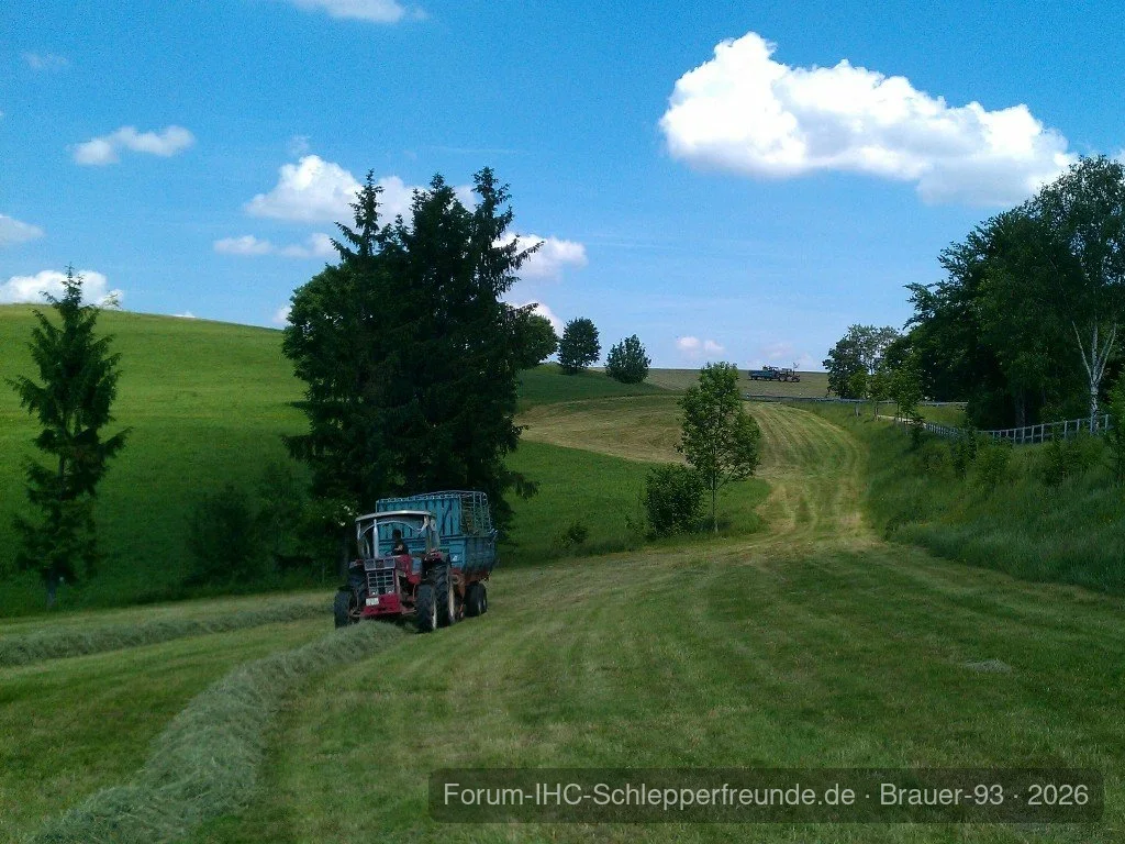 IHC 946 beim Heueinfahren