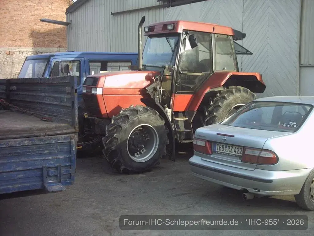IHC 955