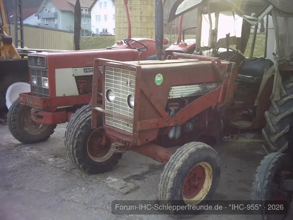 IHC 955