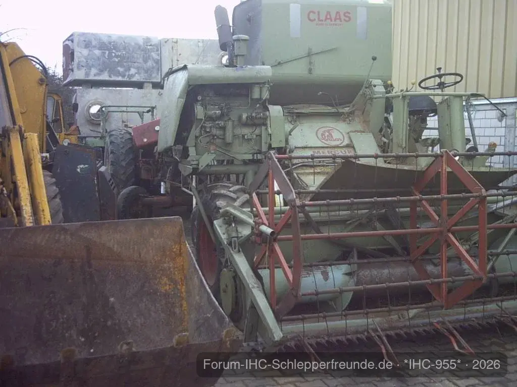 IHC 955