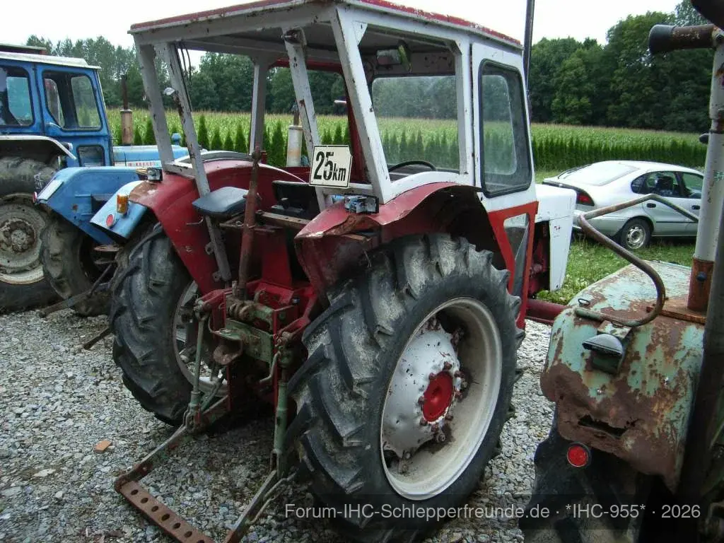 IHC 955