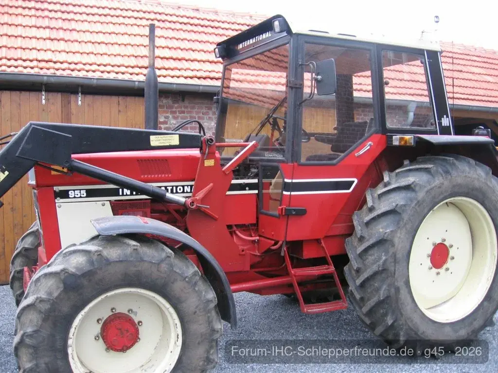 IHC 955