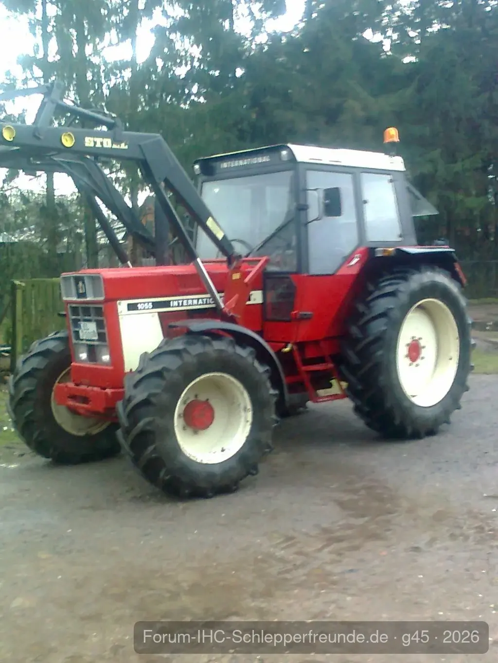 IHC 955