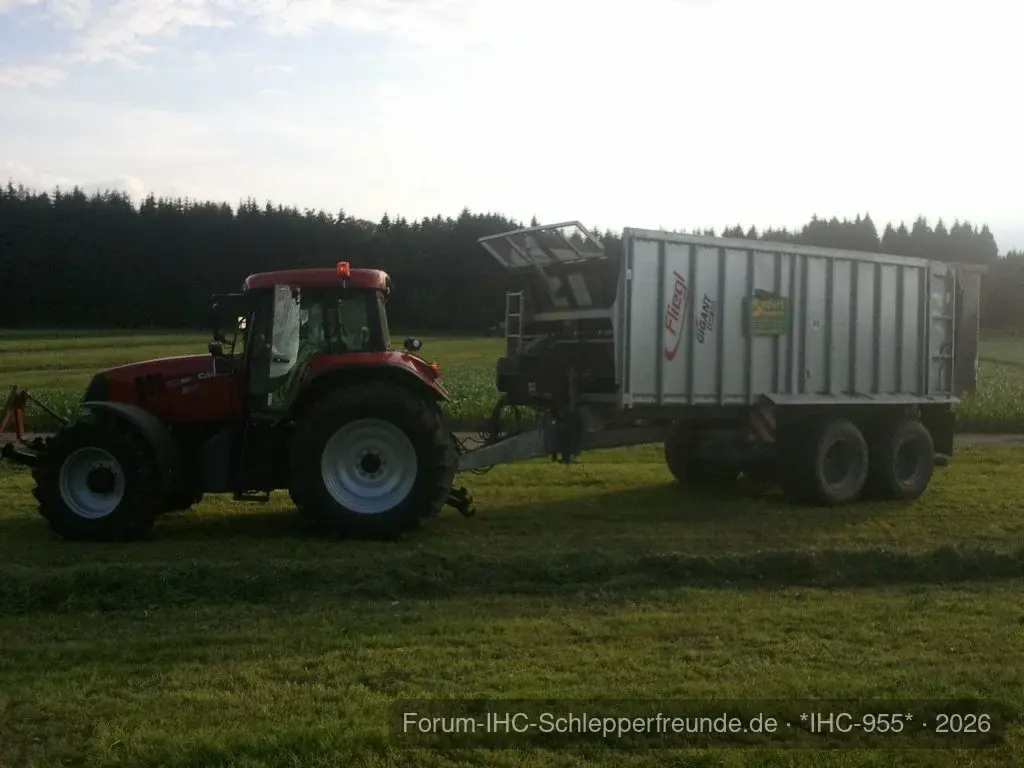 IHC 955