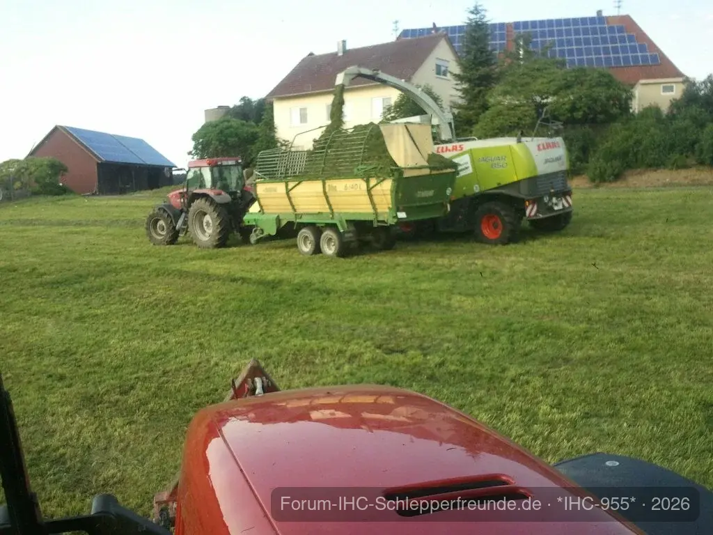 IHC 955