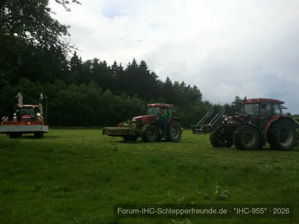IHC 955