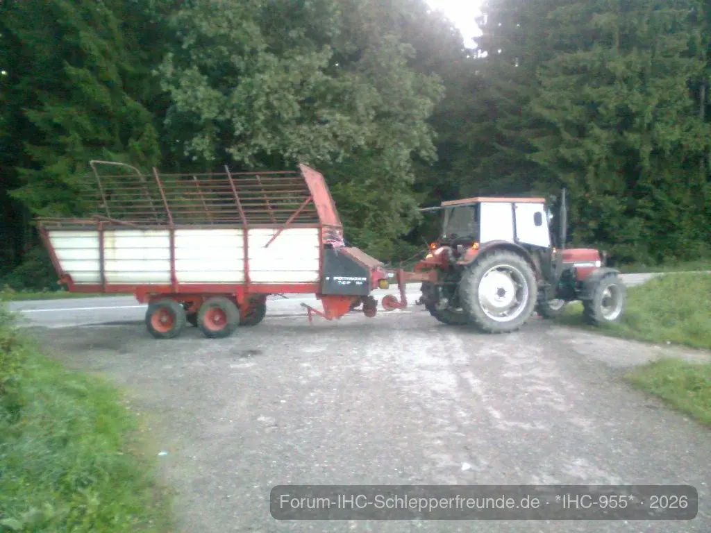 IHC 955