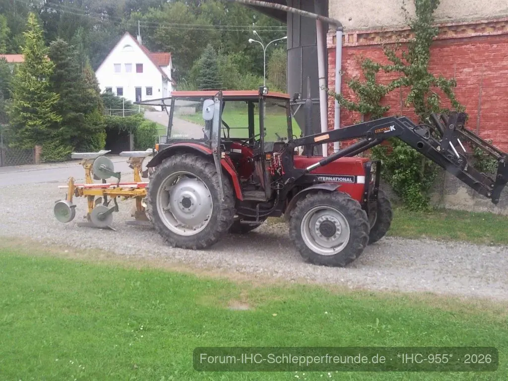 IHC 955
